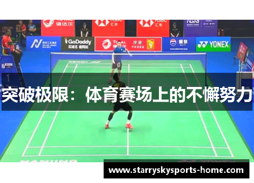 突破极限：体育赛场上的不懈努力